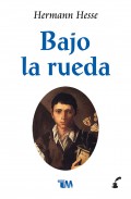 Bajo la rueda