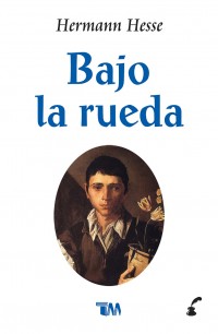 Bajo la rueda