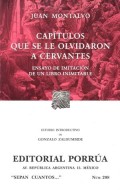 Capítulos que se le olvidaron a Cervantes.   Ensayo de imitación de un libro inimitable
